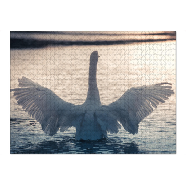 Puzzle Ravensburger "Majestätischer Schwan" artboxONE - Natur,Tiere