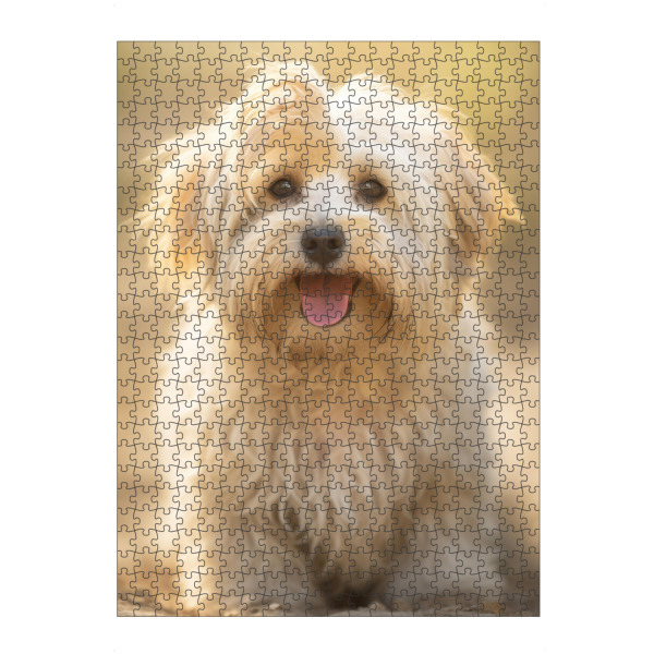 artboxONE Puzzle "Fröhlicher Havaneser" artboxONE - Tiere - Tier,Bokeh,Niedlich,Hund,Glücklich,Havaneser,Fotografie,Porträt,Lächelnd,Weiß