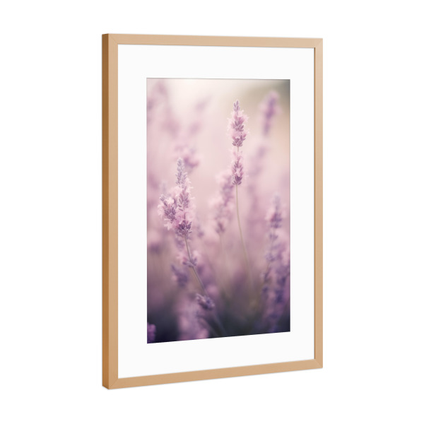 Poster mit Rahmen Kupfer "Zartes Lavendelfeld" artboxONE - Natur,Floral - Zart,Detail,Blume,Farben,Lavendel,Makro,Natur,Rosa,Weich,Frühling,Violett