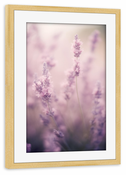 Poster mit Rahmen kiefer "Zartes Lavendelfeld" artboxONE - Natur,Floral - Zart,Detail,Blume,Farben,Lavendel,Makro,Natur,Rosa,Weich,Frühling,Violett