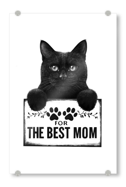 Acrylglasbild "Schwarze Katze für die beste Mama" artboxONE - Natur,Tiere,Liebe,Für Mama,Lustig