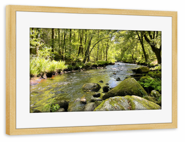 Poster mit Rahmen kiefer "Wildbach im Sommerwald" artboxONE - Natur,Reise