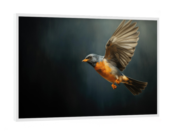 Poster mit weißem Rahmen "Fliegendes Rotkehlchen" artboxONE - Natur,Tiere