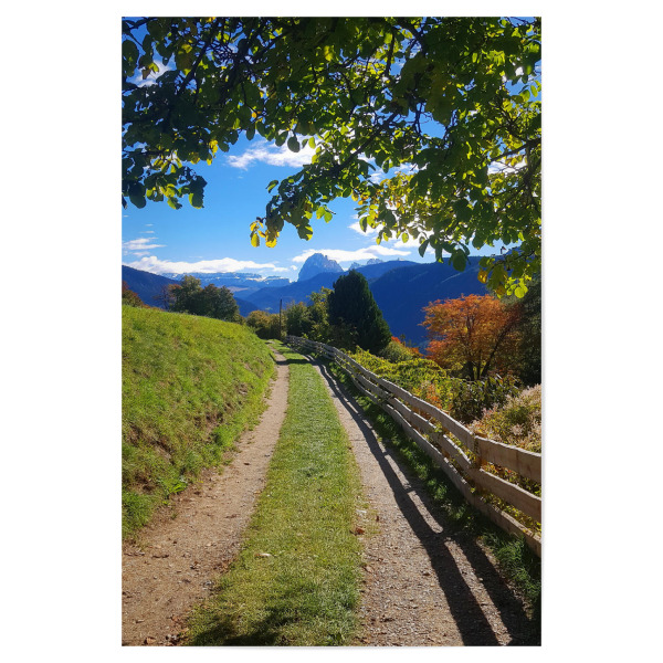 Poster "Wanderweg in Süd Tirol" artboxONE - Natur,Reise / Länder,Buchstaben / W
