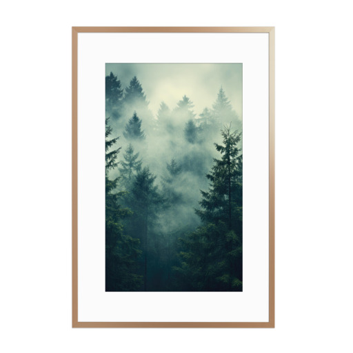 The forest in the fog