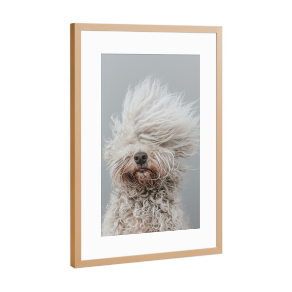Poster mit Rahmen Kupfer "Bad-Hair-Day" artboxONE - Tiere,Lustig