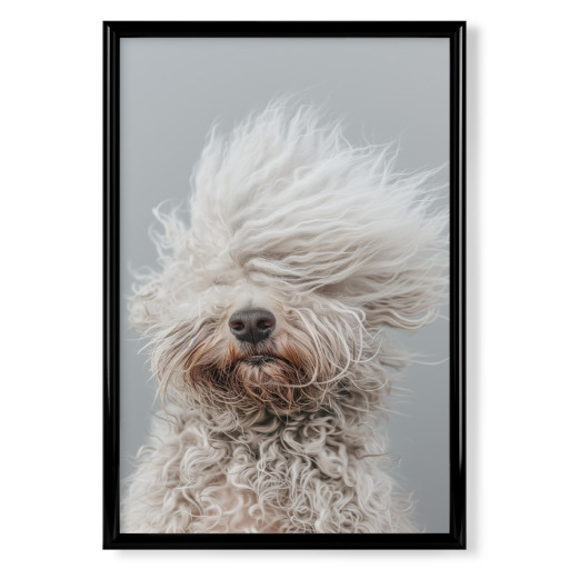 Bad-Hair-Day