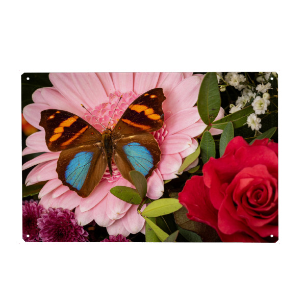 Holzbild "Schmetterling auf Blumenstrauß" artboxONE - Natur,Tiere - Schmetterling,Blume,Insekt,Falter,Tagfalter,Blumenstrauß