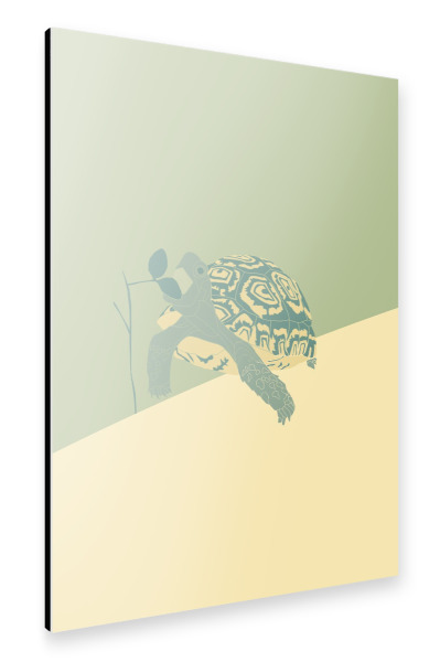 Alu-Dibond "Grüne Landschildkröte" 30x20 cm artboxONE