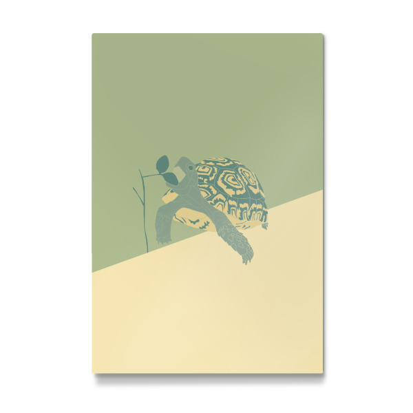 Galerie-Print "Grüne Landschildkröte" 30x20 cm artboxONE