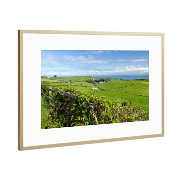 Poster mit Rahmen Gold "Wiesen und Küste in Nordirland" artboxONE - Natur,Reise / Strand und Meer,Reise / Länder