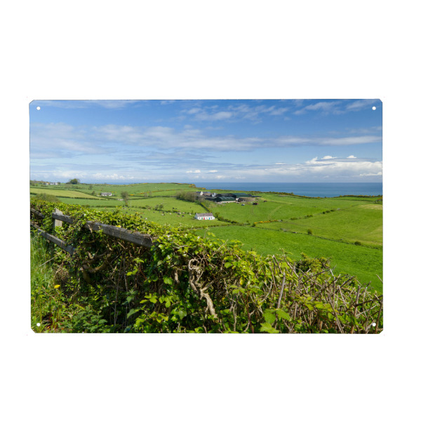 Metall Poster "Wiesen und Küste in Nordirland" artboxONE - Natur,Reise / Strand und Meer,Reise / Länder