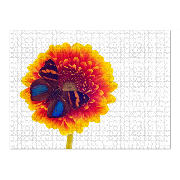 Puzzle Ravensburger "Der Exotische Schmetterling" artboxONE - Tiere