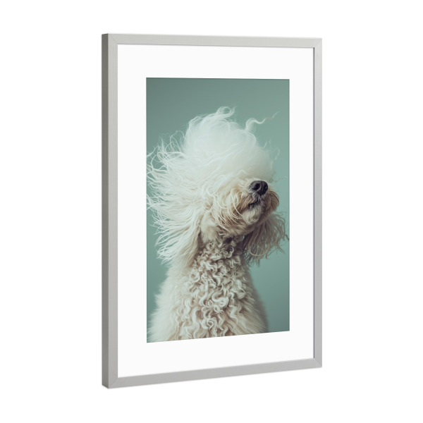 Poster mit Rahmen Silber "Bad Hair Day Pudel auf Grün" artboxONE - Tiere,Lustig