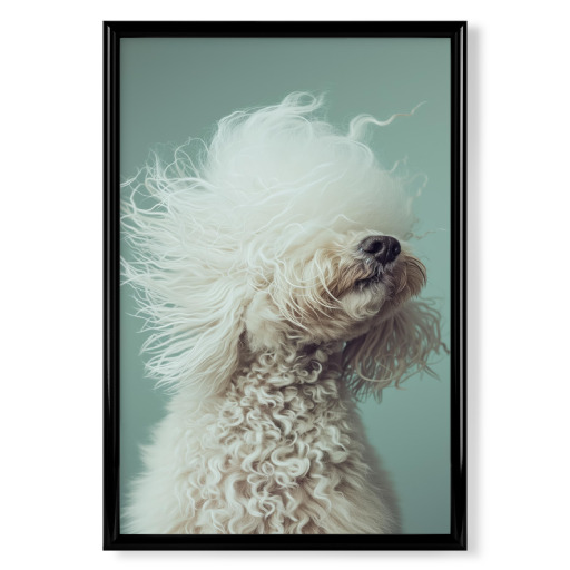 Bad Hair Day Pudel auf Grün
