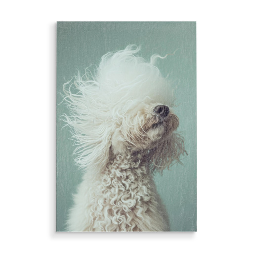 Bad hair day poodle on green
