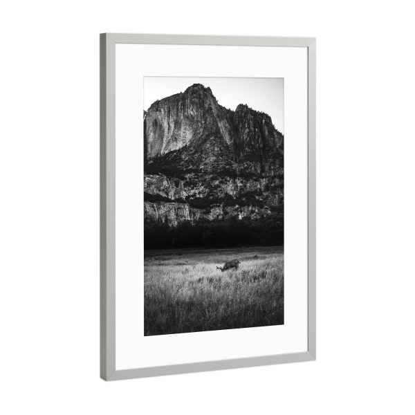 Poster mit Rahmen Silber "Harmonie in Yosemite" artboxONE - Natur,Reise,Schwarzweiß - Tiere,Berge,Harmonie,Naturfotografie,Natur,Schwarzweiß