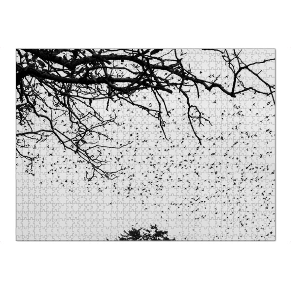 Puzzle Ravensburger "Anflug" artboxONE - Natur,Tiere,Schwarzweiß - Bodensee,Baum,Vögel,Stare,Fliegen,Flug,Kolonie,Schwarz,Weiß,S/w - Bild bodensee