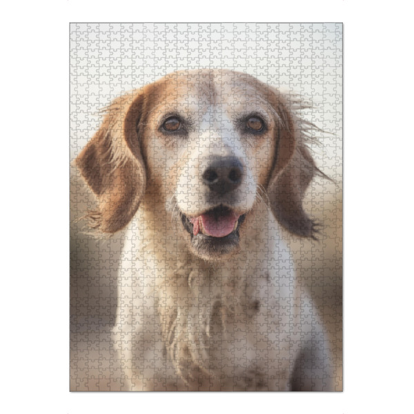 Puzzle Ravensburger "Glücklicher Beagle" artboxONE - Tiere - Tier,Bokeh,Niedlich,Hund,Glücklich,Glücklich beagle,Fotografie,Porträt,Lächelnd,Weiß