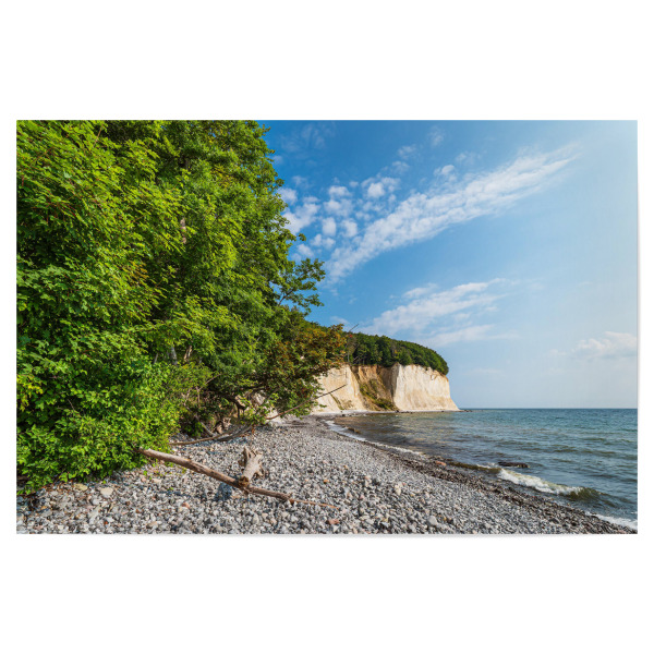 Poster "Kreidefelsen und Bäume auf Rügen" artboxONE - Natur,Reise,Reise / Strand und Meer