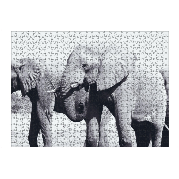 artboxONE Puzzle "Elefantenbullen am Wasserloch" artboxONE - Natur,Reise,Tiere,Schwarzweiß,Reise / Afrika