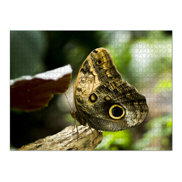 Puzzle Ravensburger "Schmetterling in der freien Natur" artboxONE - Natur,Tiere - Schmetterlinge,Natur,Nature photography - Bild schmetterlinge
