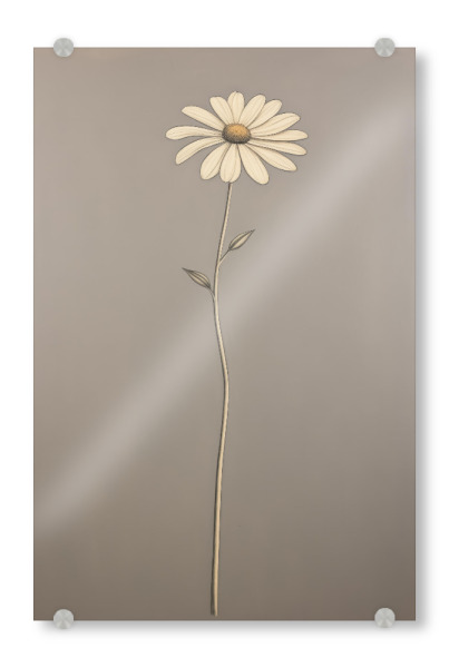 Acrylglasbild "Zarte Gänseblümchenblume" artboxONE - Floral - Kunst,Braun,Leinwand,Zart,Detail,Blume,Minimal,öl,Farbe,Gemälde,Gänseblümchen