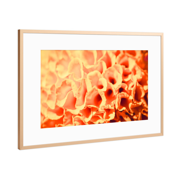 Poster mit Rahmen Kupfer "Blossom sponge" artboxONE - Natur,Floral,Abstrakt - Blüte,Blossom