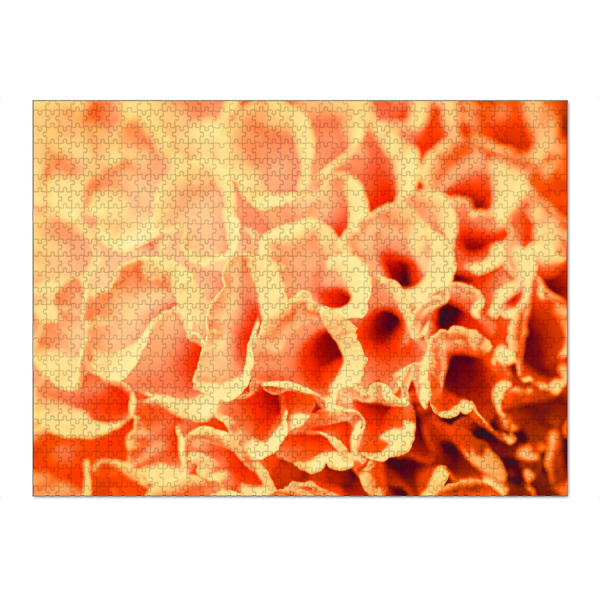 Puzzle Ravensburger "Blossom sponge" artboxONE - Natur,Floral,Abstrakt - Blüte,Blossom - Bild blüte