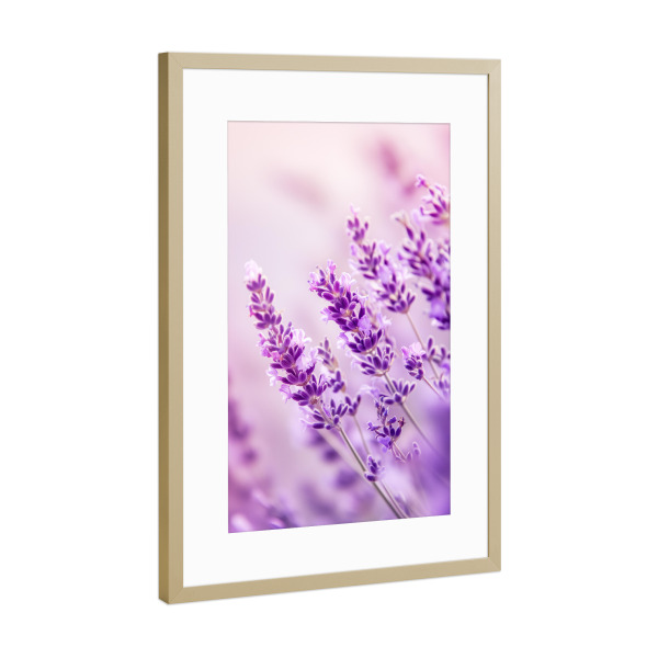 Poster mit Rahmen Gold "Lavendel deco" artboxONE - Floral,Liebe,Ultraviolet