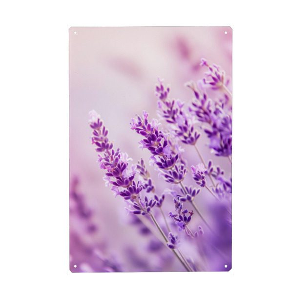 Metall Poster "Lavendel deco" artboxONE - Floral,Liebe,Ultraviolet