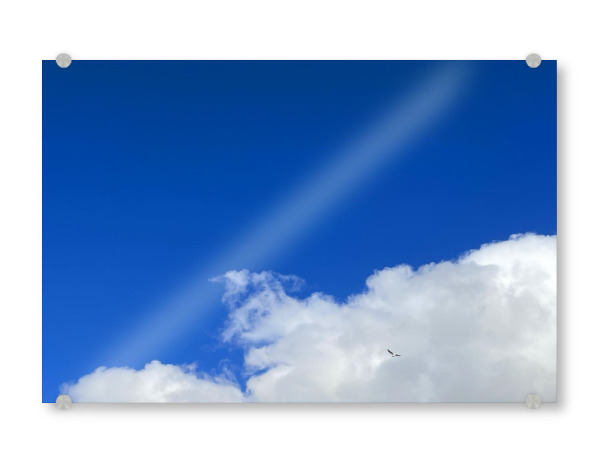 Acrylglasbild "Blauer Himmel mit Möwe" artboxONE - Natur,Reise,Tiere - Blau,Vogel,Möwe,Wolke,Fliegen,Firmament,Himmel,Ruhe,Natur