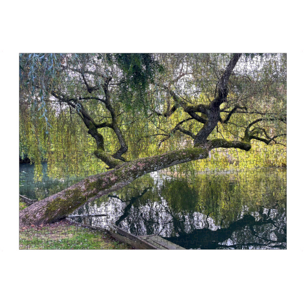 Puzzle Ravensburger "Weide über Wasser" artboxONE - Natur,Floral - Wald,Wasser,Himmel,Bäume,Blätter,Holz,Ruhe,Natur,Lichtung,Laub,Sommer,Teich,See