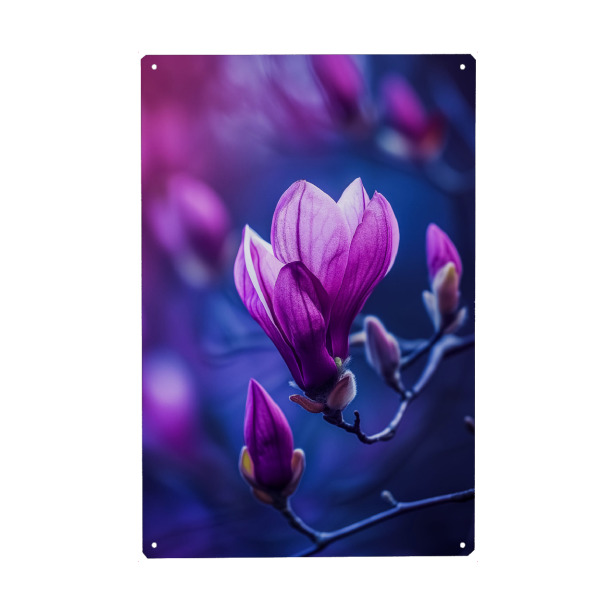 Metall Poster "Sonnenglühende Magnolie" artboxONE - Floral,Musik,Liebe