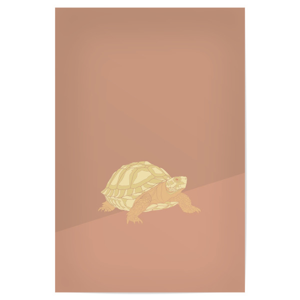 Poster 30x20 cm "Eine weise Schildkröte" artboxONE - Tiere - Landschildkröte,Schildkröte,Gelb,Rosa,Braun,Abstrakt,Weise,Sitzen,Blick,Steinzeit