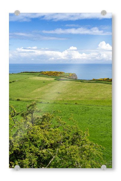 Acrylglasbild "Küstenlandschaft Nordirland" artboxONE - Natur,Reise / Strand und Meer,Reise / Länder