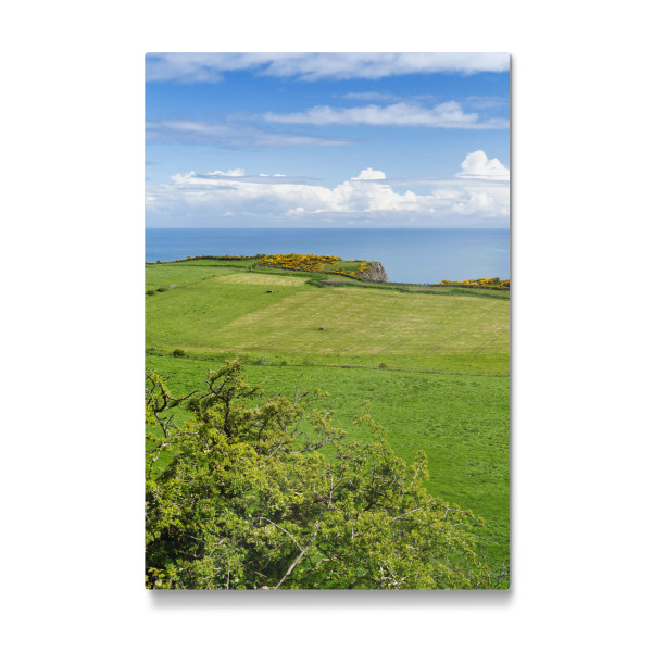 Galerie-Print "Küstenlandschaft Nordirland" 30x20 cm artboxONE