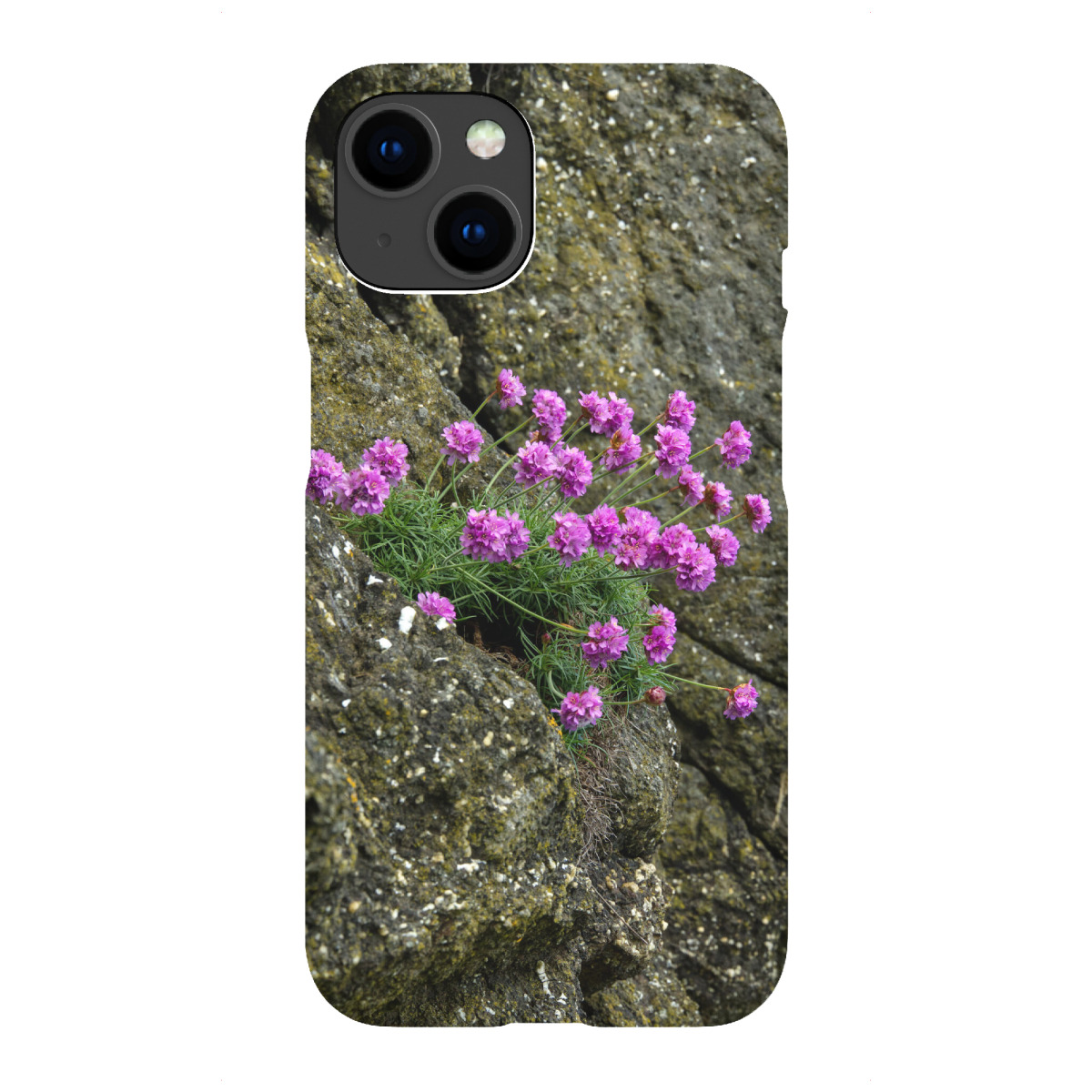 iPhone "Grasnelken am Felsen" Premium-Case Handyhülle artboxONE