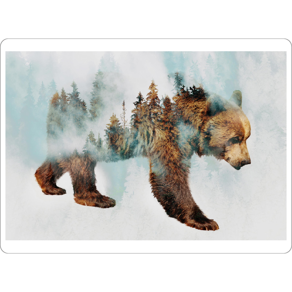Tischset "Bear and Forest (matart)" artboxONE - Tiere - Bär,Bären,Grizzly,Tier,Natur,Wild,Wald - Bild bär