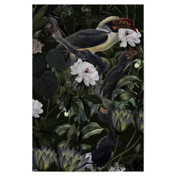 Poster 30x20 cm "Dunkle Nacht im Dschungel" artboxONE - Natur,Floral,Tiere - Dschungel,Dunkel,Exotisch,Tropisch,Wild,Tukan,Vintage