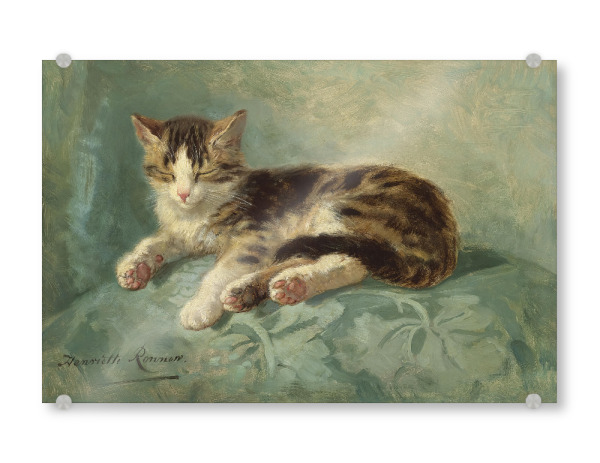 Acrylglasbild "Katzenschläfchen" artboxONE - Für Kinder,Tiere,Liebe,Für Mama,Für Papa
