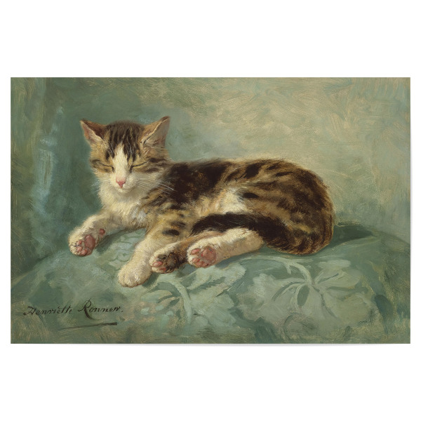 Poster 30x20 cm "Katzenschläfchen" artboxONE - Für Kinder,Tiere,Liebe,Für Mama,Für Papa