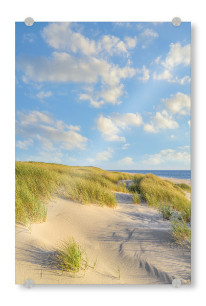 Acrylglasbild "Dünen auf Sylt am Abend" artboxONE - Natur,Reise,Reise / Strand und Meer