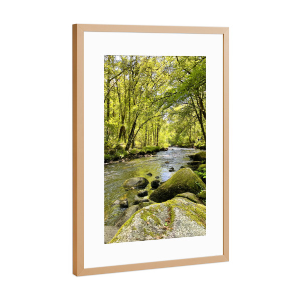 Poster mit Rahmen Kupfer "Wildbach im Frühling" artboxONE - Natur,Reise