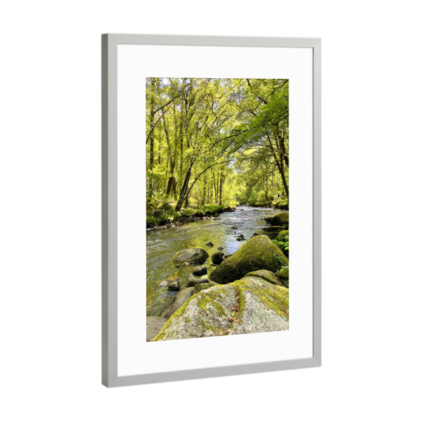 Poster mit Rahmen Silber "Wildbach im Frühling" artboxONE - Natur,Reise