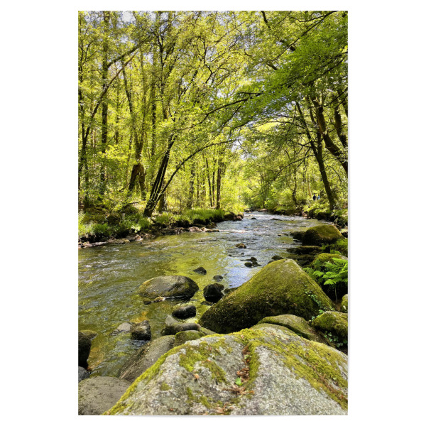 Poster 30x20 cm "Wildbach im Frühling" artboxONE - Natur,Reise