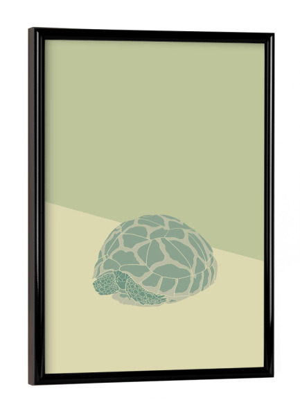 Poster mit schwarzem Rahmen "Eine kleine Landschildkröte" artboxONE - Tiere