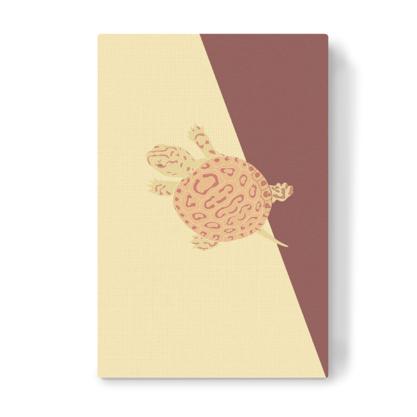 Leinwandbild "Babywasserschildkröte" artboxONE - Tiere - Wasserschildkröte,Schildkröte,Baby,Abstrakt,Gelb,Rot,Braun,Umschauen