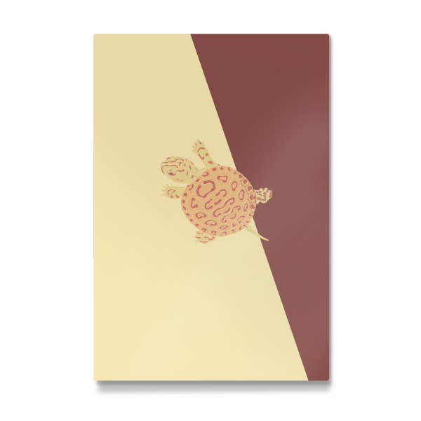 Galerie-Print "Babywasserschildkröte" 30x20 cm artboxONE