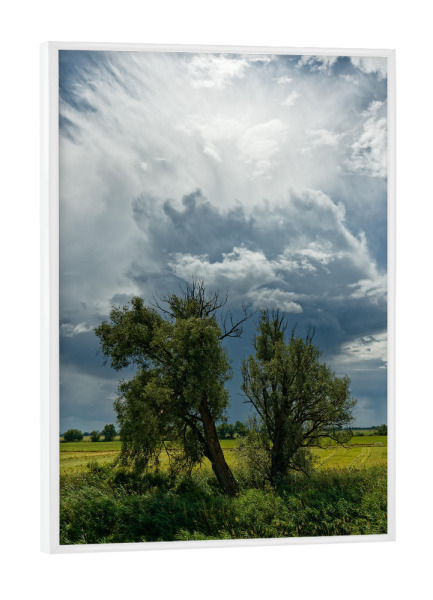 Poster mit weißem Rahmen "Gewitterstimmung im Oderbruch" artboxONE - Natur